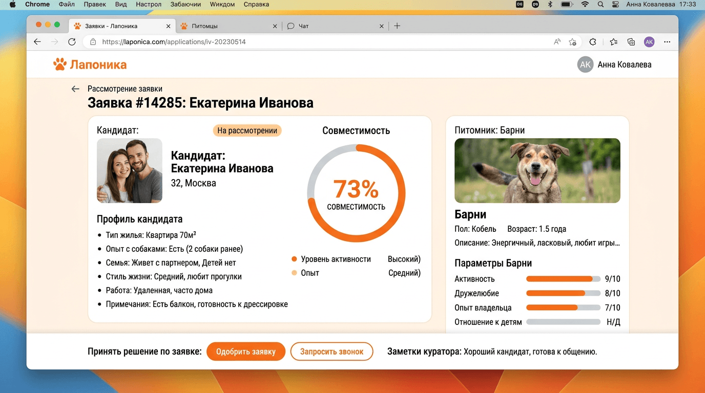Куратор рассматривает заявку на усыновление